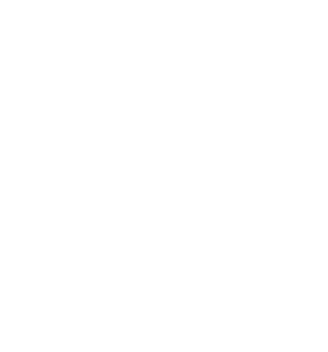 Icono Auditoría