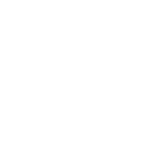Icono Mystery Shopping